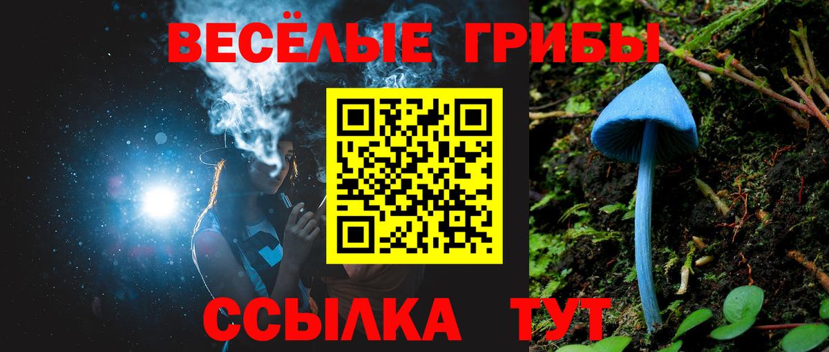 Псилоцибиновые грибы GOLDEN TEACHER Александров